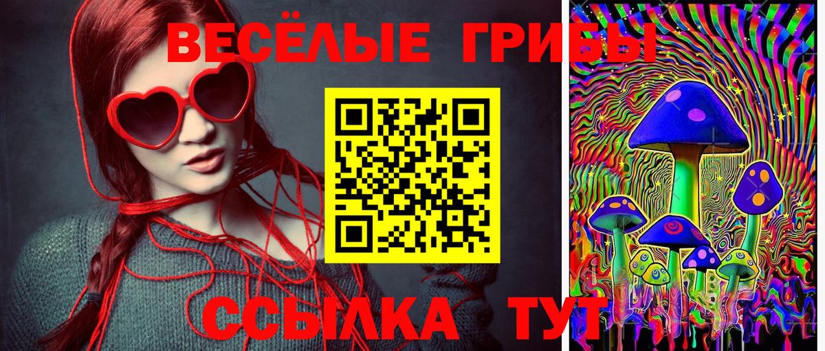 Псилоцибиновые грибы мухоморы Волгодонск